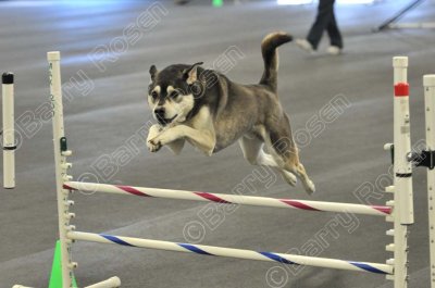 PAW_2195.jpg