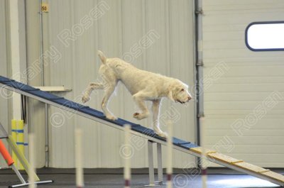 PAW_2198.jpg
