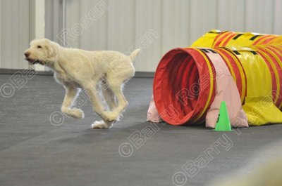PAW_2200.jpg