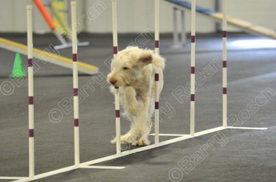 PAW_2202.jpg