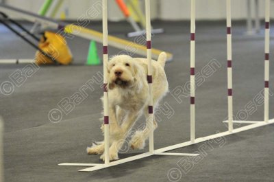 PAW_2203.jpg