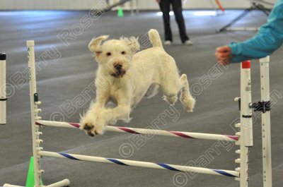 PAW_2205.jpg