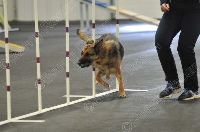 PAW_2208.jpg