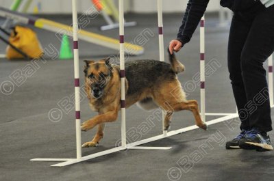PAW_2210.jpg