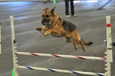 PAW_2212.jpg