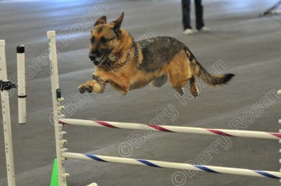 PAW_2213.jpg