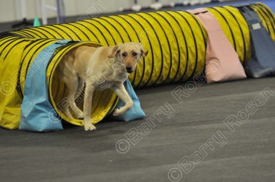 PAW_2216.jpg