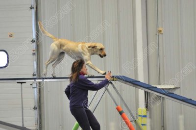 PAW_2218.jpg