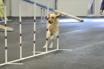 PAW_2221.jpg