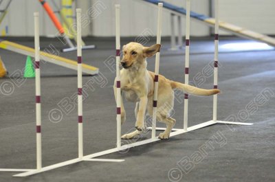 PAW_2222.jpg