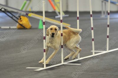 PAW_2223.jpg
