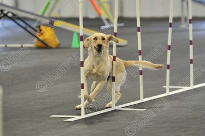PAW_2224.jpg