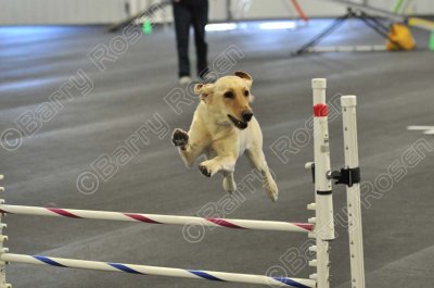 PAW_2225.jpg