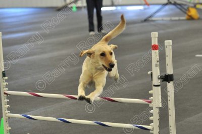 PAW_2226.jpg