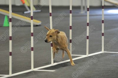 PAW_2229.jpg