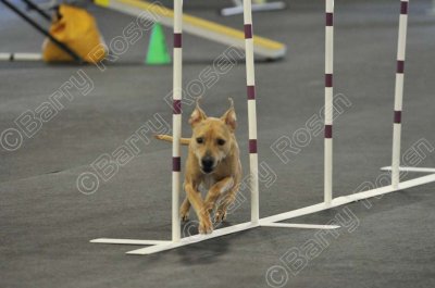 PAW_2230.jpg
