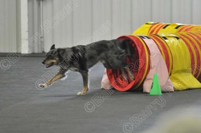 PAW_2233.jpg