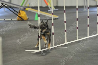 PAW_2235.jpg
