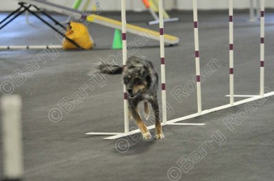 PAW_2236.jpg