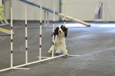 PAW_2239.jpg