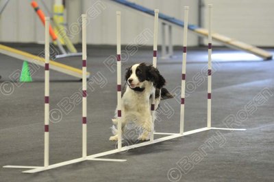 PAW_2240.jpg