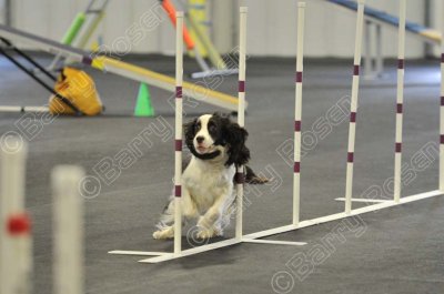 PAW_2241.jpg