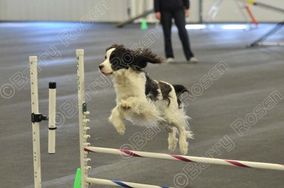 PAW_2242.jpg