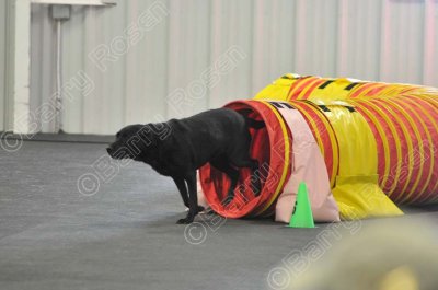 PAW_2243.jpg