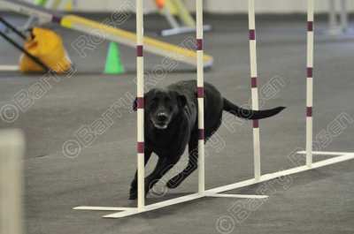 PAW_2245.jpg