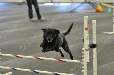 PAW_2246.jpg