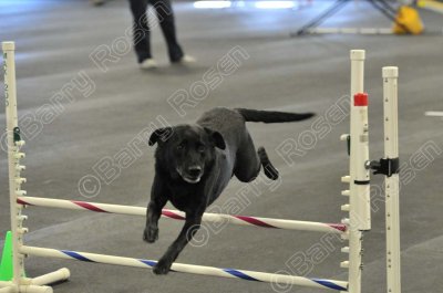 PAW_2247.jpg