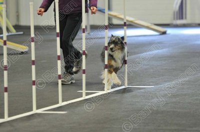 PAW_2249.jpg