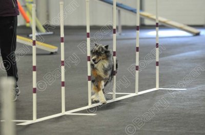 PAW_2250.jpg