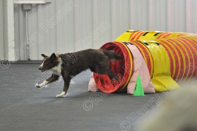 PAW_2253.jpg