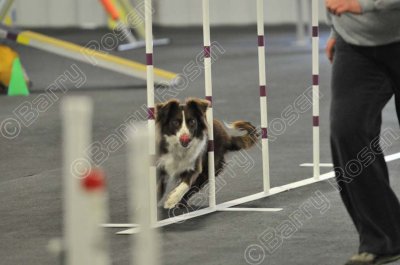PAW_2256.jpg