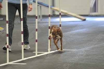 PAW_2258.jpg