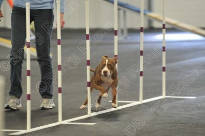 PAW_2259.jpg