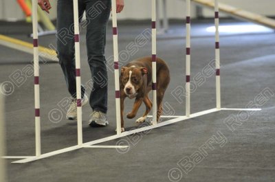 PAW_2260.jpg