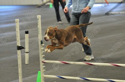 PAW_2262.jpg