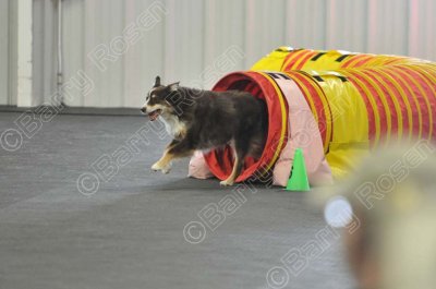 PAW_2263.jpg
