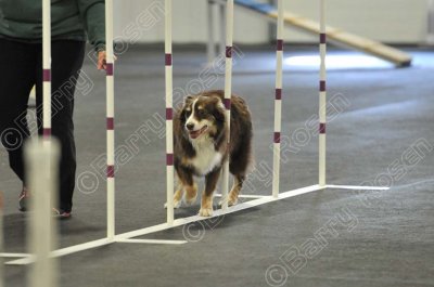 PAW_2264.jpg