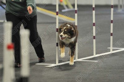 PAW_2265.jpg