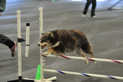 PAW_2266.jpg