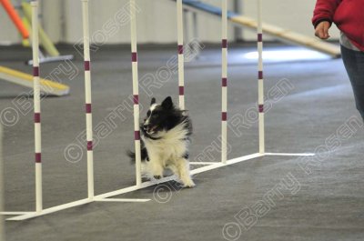 PAW_2268.jpg