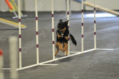 PAW_2273.jpg