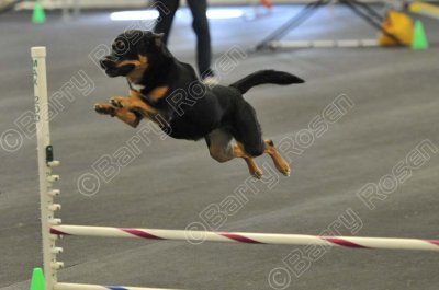 PAW_2275.jpg