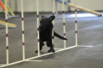 PAW_2277.jpg