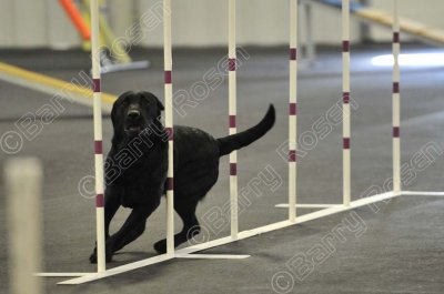 PAW_2278.jpg