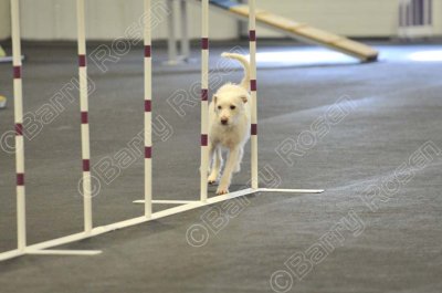 PAW_2280.jpg