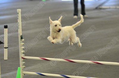 PAW_2283.jpg